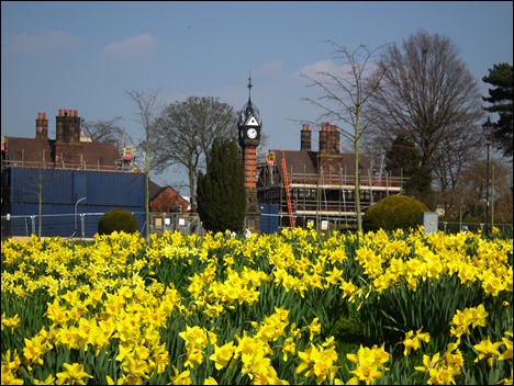 queenspark 020